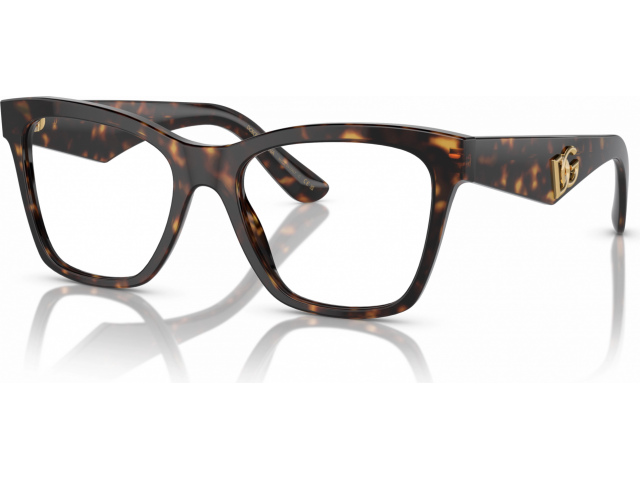 Dolce & Gabbana DG3374 502 Tortoise