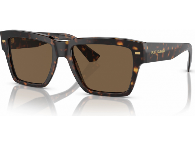 Dolce & Gabbana DG4431 502/73 Tortoise