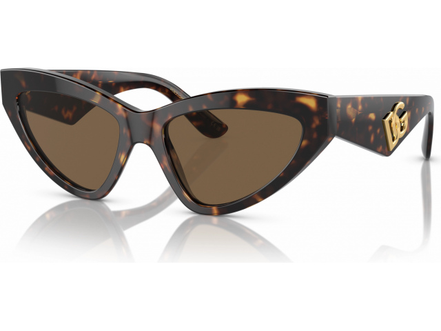 Dolce & Gabbana DG4439 502/73 Tortoise