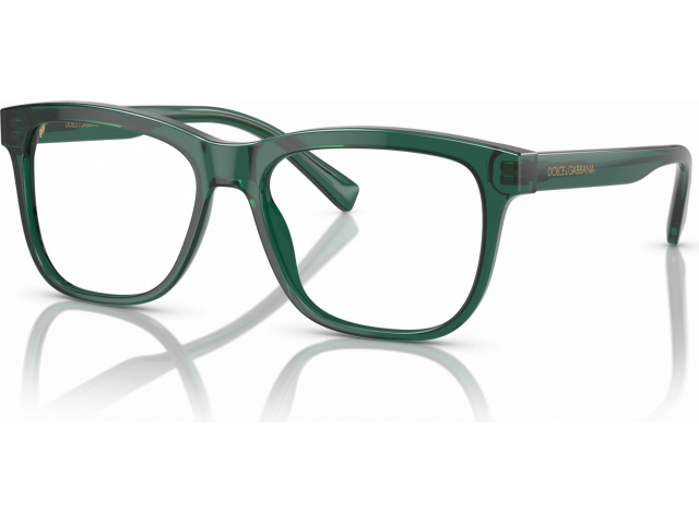 Dolce & Gabbana DX3356 3008 Green