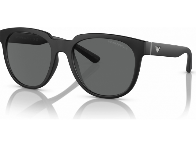 Emporio Armani EA4205 500187 Black