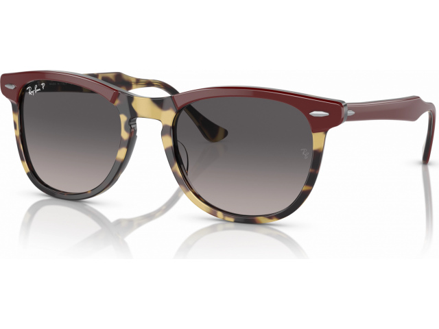 Ray-Ban EAGLEEYE RB2398 1377M3 Red