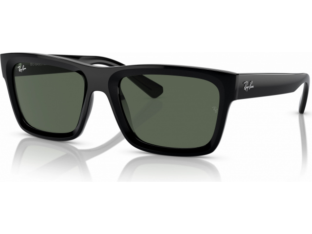 Ray-Ban WARREN RB4396 667771 Black