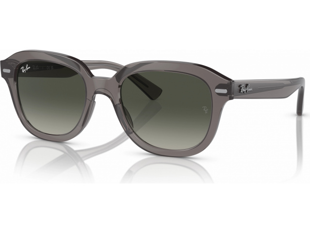 Ray-Ban ERIK RB4398 667571 Grey