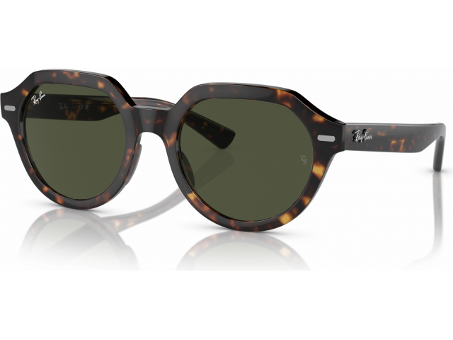 Ray-Ban GINA RB4399 902/31 Tortoise