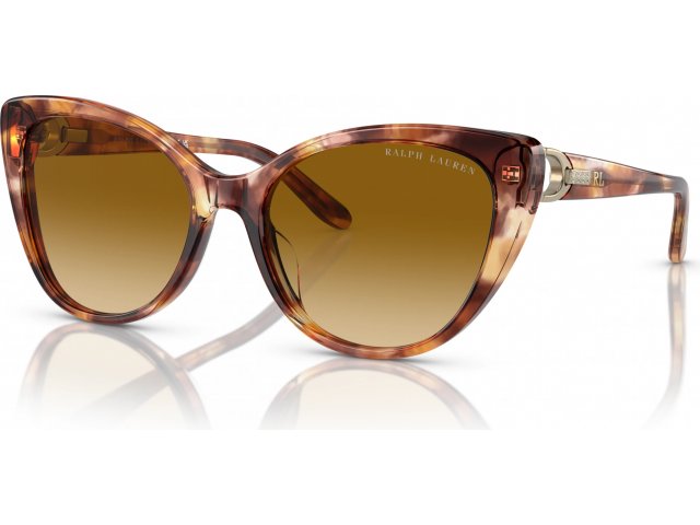Ralph Lauren RL8215BU 60932L Tortoise