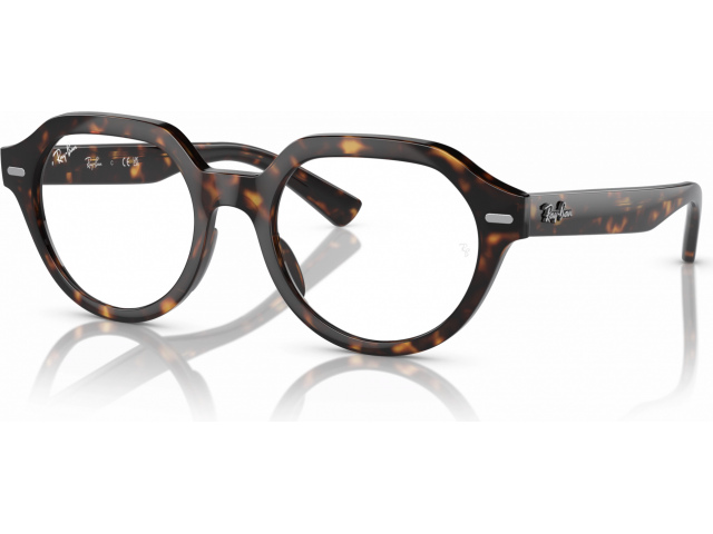 Ray-Ban GINA RX7214 2012 Tortoise