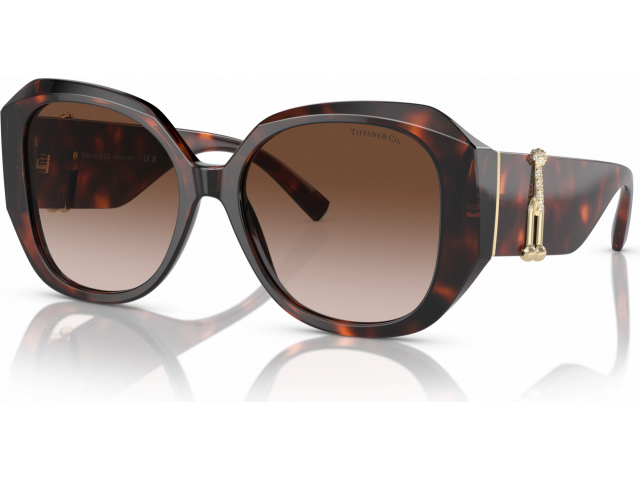 Tiffany TF4207B 80023B Tortoise