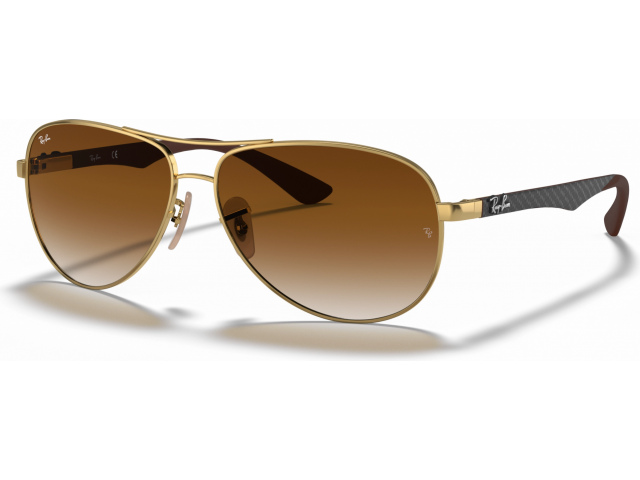 Ray-Ban RB8313 001/51