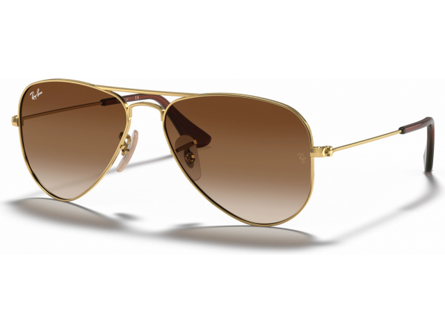 Ray-Ban Junior Aviator Junior RJ9506S 223/13