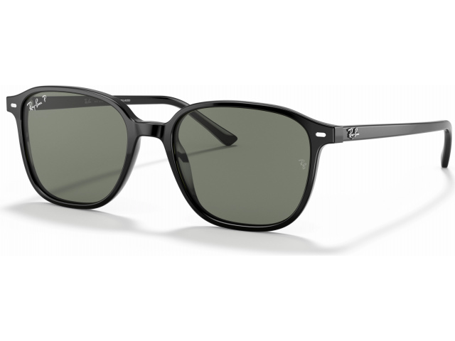 Ray-Ban LEONARD RB2193 901/58 Black