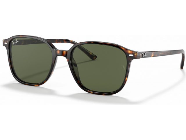 Ray-Ban Leonard RB2193 902/31 Havana