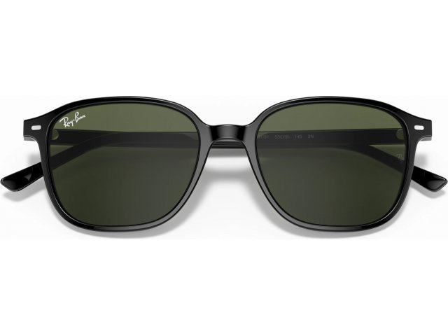 Ray-Ban LEONARD RB2193 901/31 Black