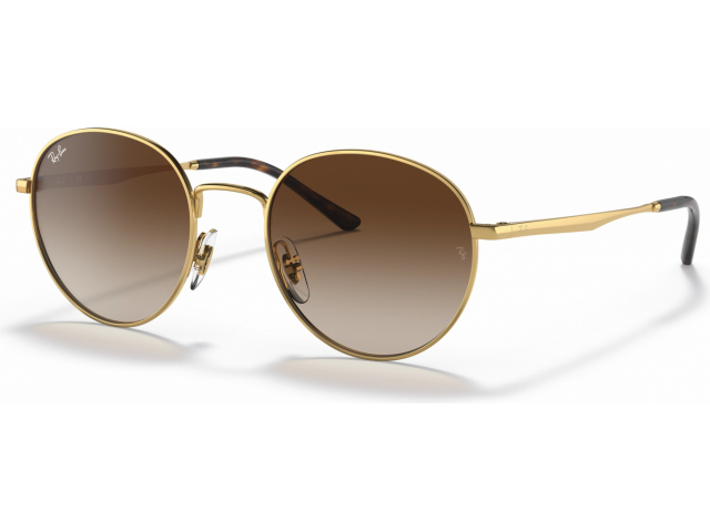 Ray-Ban RB3681 001/13 Arista
