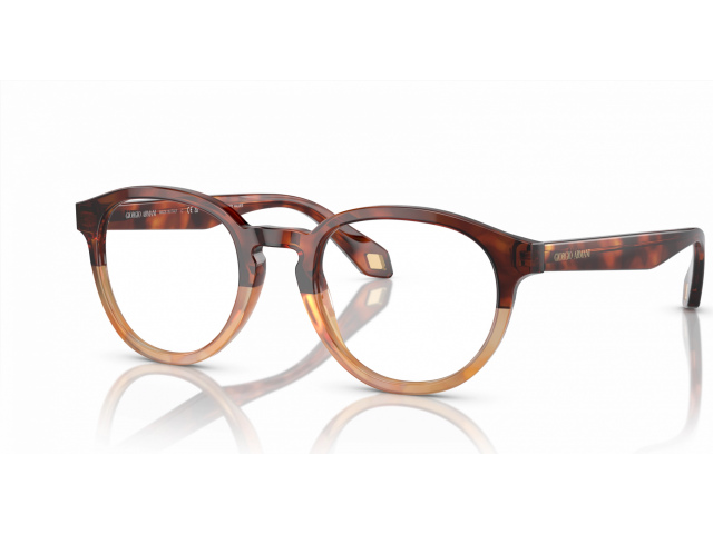 Giorgio Armani AR7248 6034 Brown