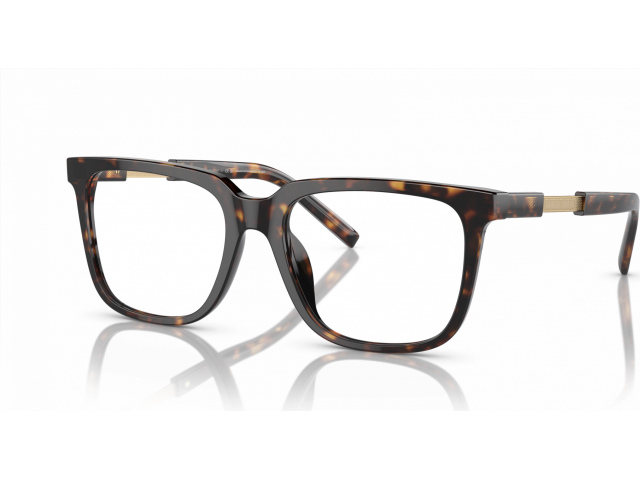 Giorgio Armani AR7252U 5879 Tortoise