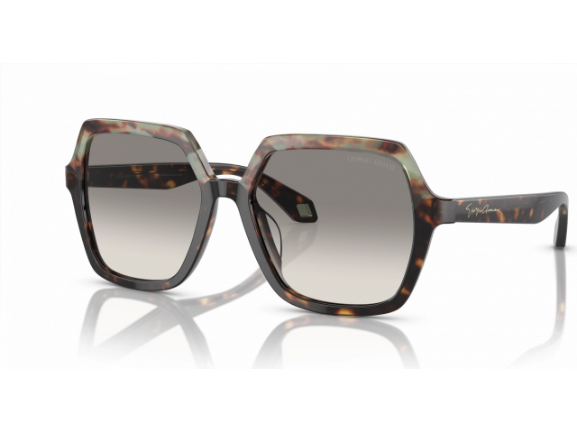 Giorgio Armani AR8193U 587932 Brown