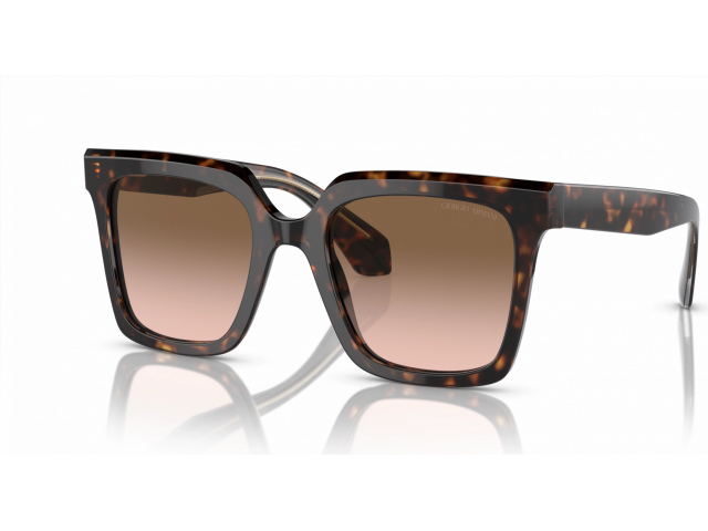 Giorgio Armani AR8156 587951 Tortoise