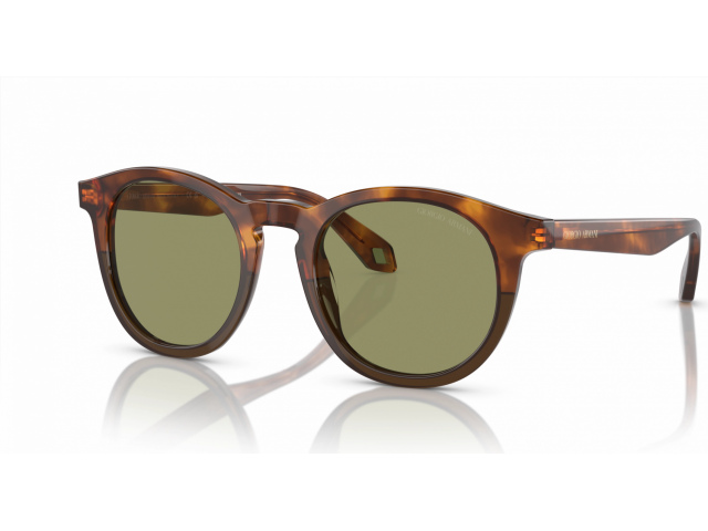 Giorgio Armani AR8192 598814 Brown