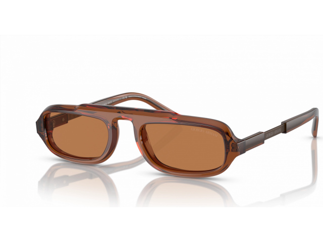 Giorgio Armani AR8203 604973 Brown