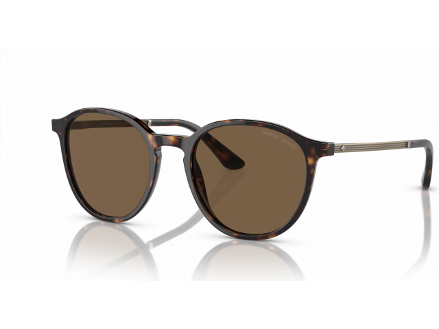 Giorgio Armani AR8196 502673 Tortoise