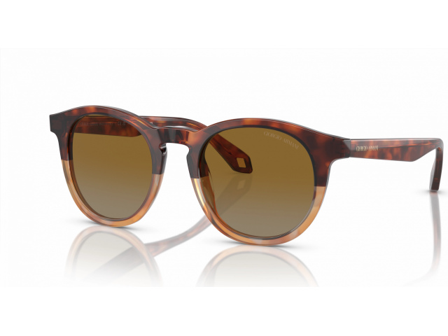 Giorgio Armani AR8192 6034B2 Brown