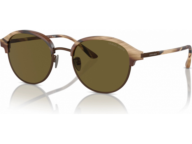 Giorgio Armani AR8215 606573 Brown