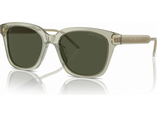 Giorgio Armani AR8210U 608331 Green