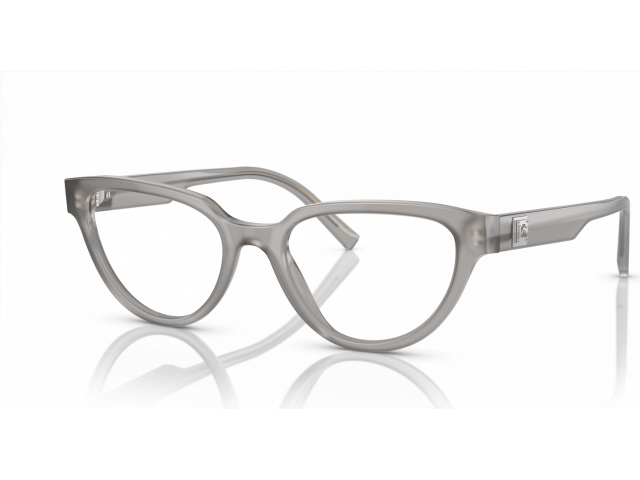 Dolce & Gabbana DG3358 3421 Grey