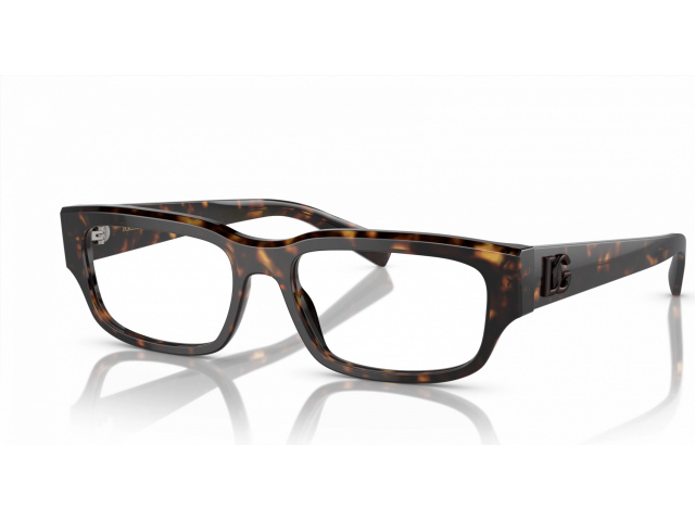 Dolce & Gabbana DG3381 502 Tortoise