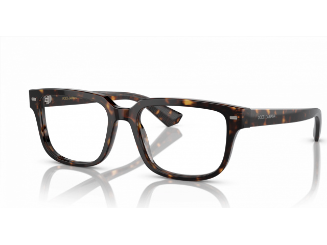 Dolce & Gabbana DG3380 502 Tortoise