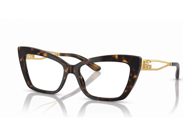 Dolce & Gabbana DG3375B 502 Tortoise