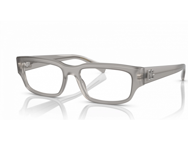 Dolce & Gabbana DG3381 3421 Grey