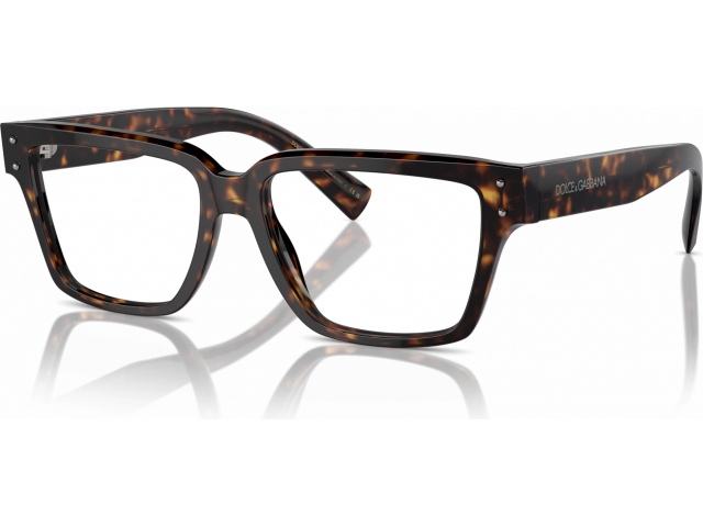 Dolce & Gabbana DG3383 502 Tortoise