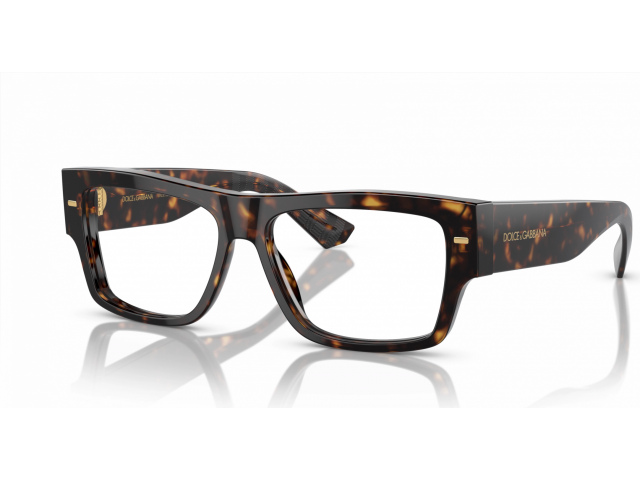 Dolce & Gabbana DG3379 502 Tortoise