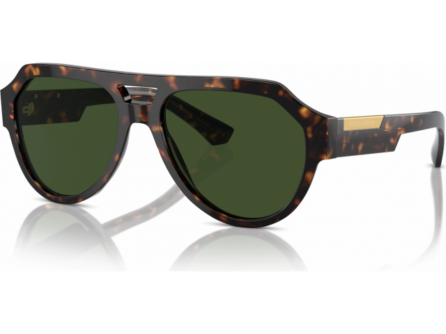 Dolce & Gabbana DG4466 502/71 Tortoise