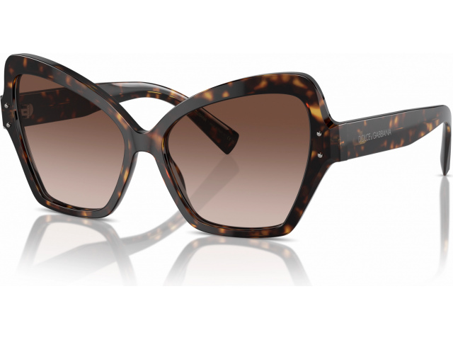 Dolce & Gabbana DG4463 502/13 Tortoise