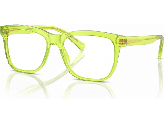 Dolce & Gabbana DX3356 3441 Green