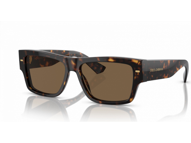 Dolce & Gabbana DG4451 502/73 Tortoise