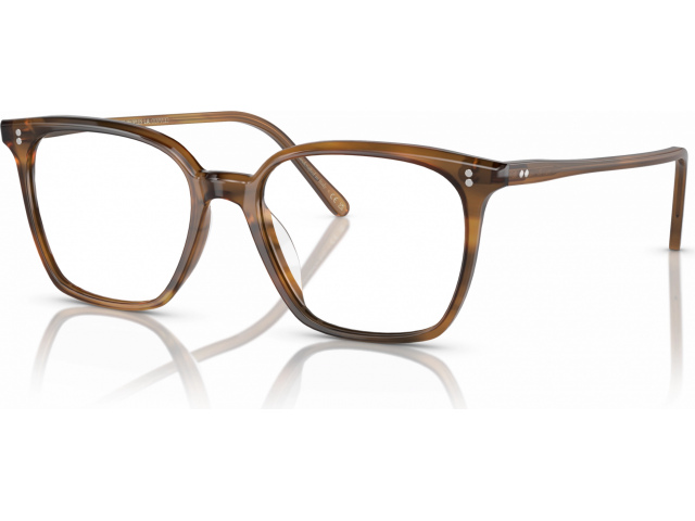 Oliver Peoples RASEY OV5488U 1011 Brown