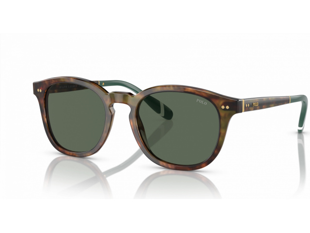 Polo Ralph Lauren PH4206 501771 Tortoise