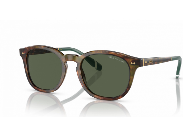 Polo Ralph Lauren PH4206 50179A Tortoise