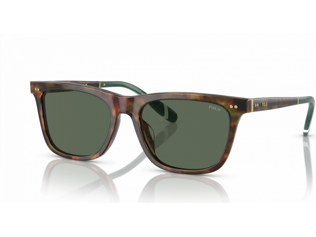 Polo Ralph Lauren PH4205U 501771 Tortoise