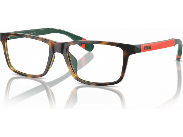 Polo Ralph Lauren PP8547U 5003 Tortoise