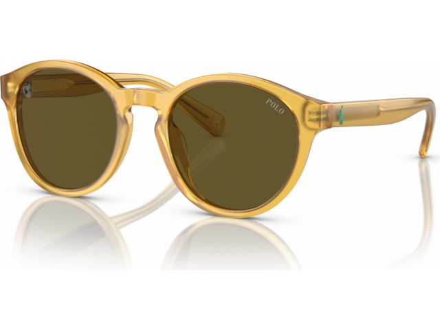 Polo PP9505U 500573 Tortoise