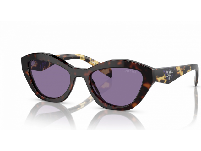 Prada PR A02S 17N50B Tortoise