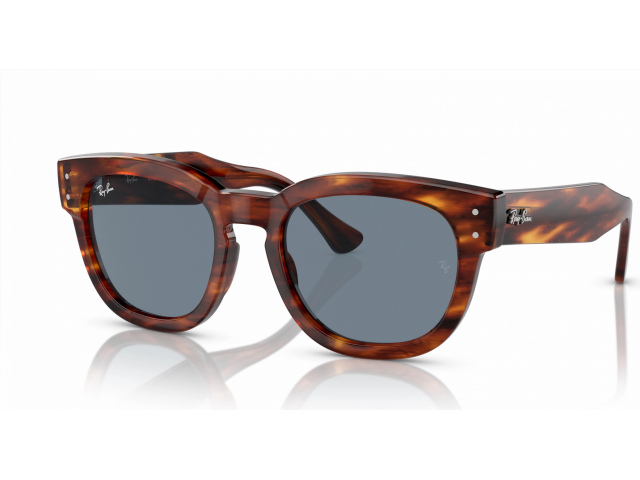 Ray-Ban MEGA HAWKEYE RB0298S 954/62 Brown