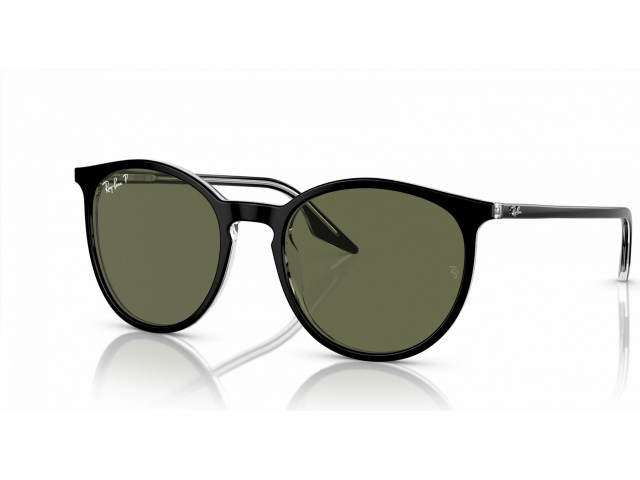 Ray-Ban RB2204 919/58 Black