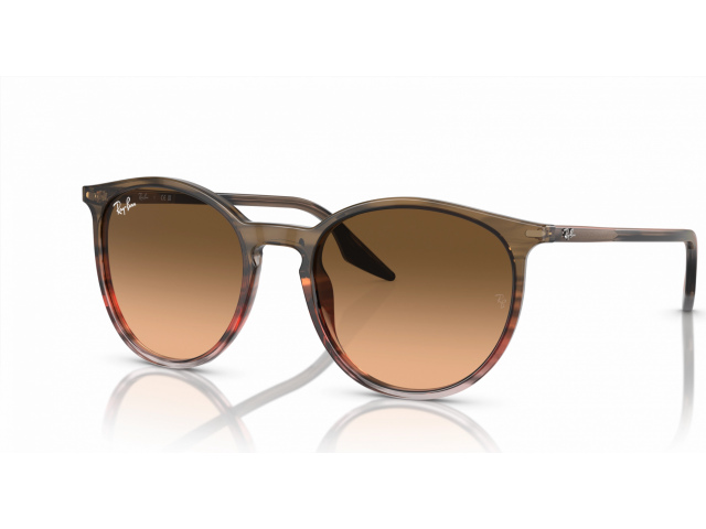 Ray-Ban RB2204 13953B Brown