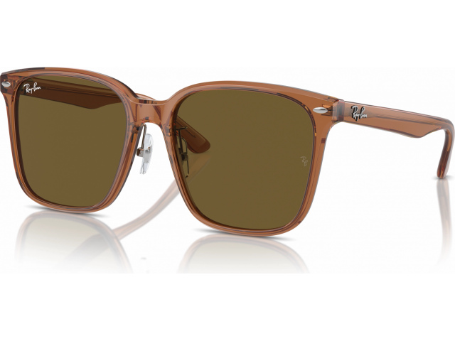 Ray-Ban RB2206D 663673 Brown